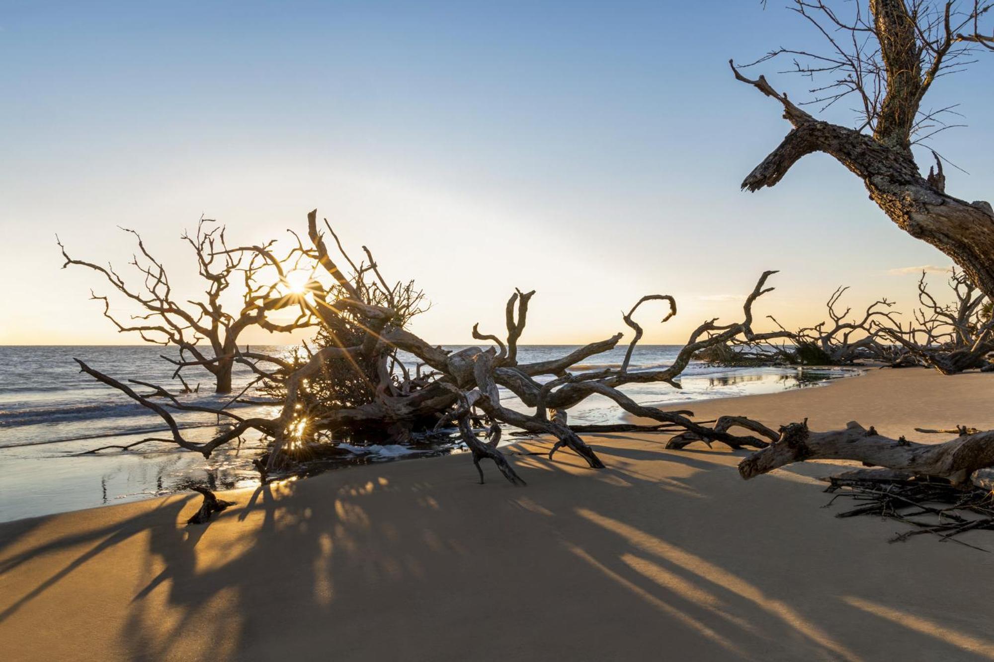 Holiday Inn Resort Jekyll Island By Ihg Ngoại thất bức ảnh